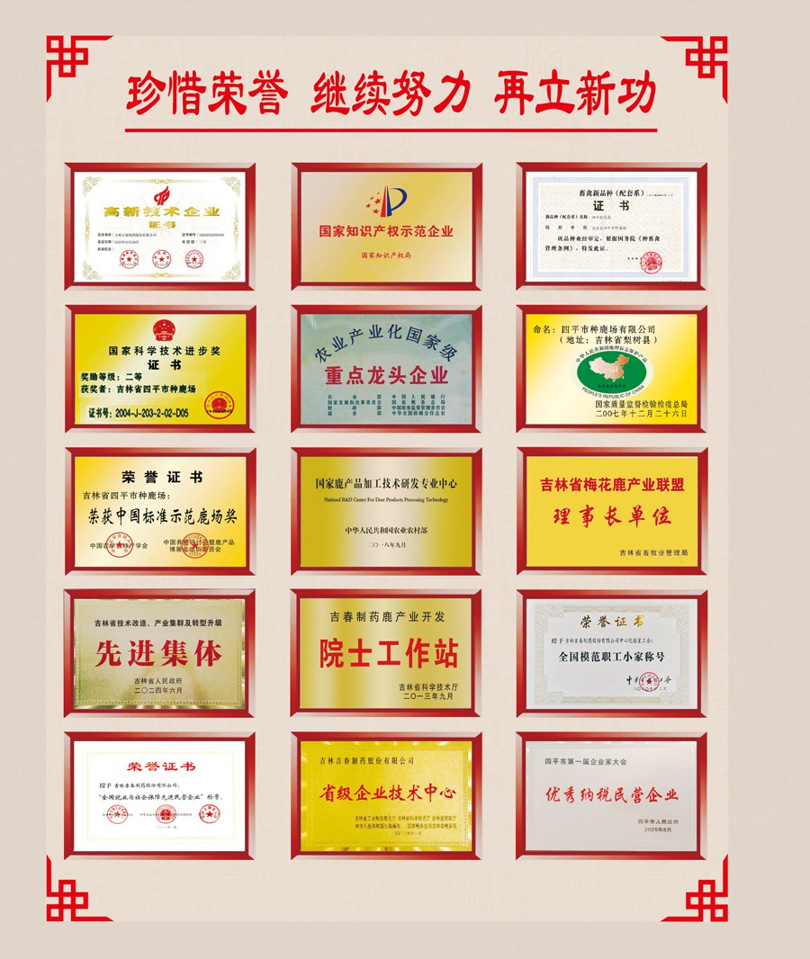 榮譽頁20261203.jpg